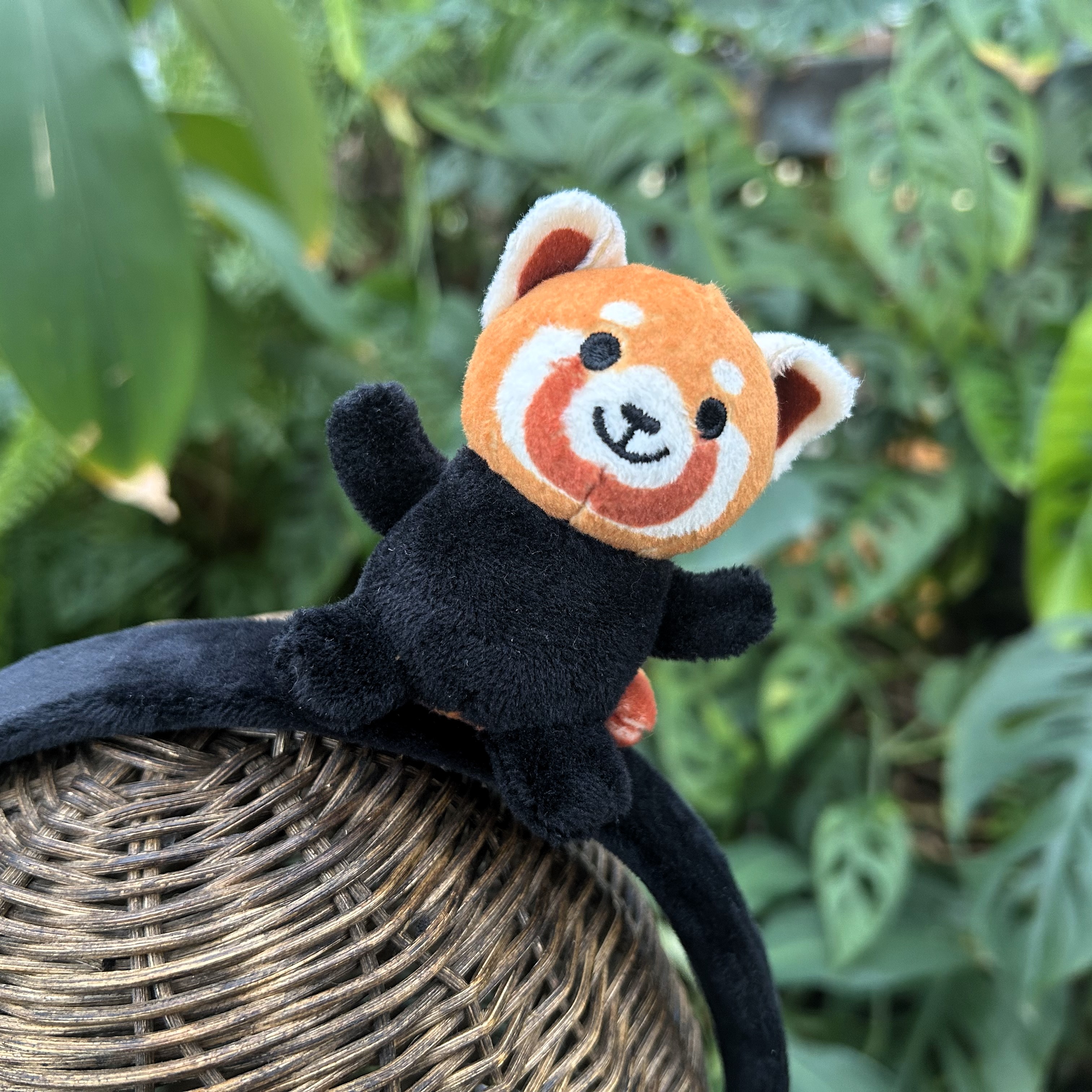 カチューシャ レッサーパンダ | 神戸どうぶつ王国NS